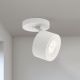 Plafoniere cu spoturi, Spoturi aplicate - Spot LED directionabil aplicat tavan SPECTER alb