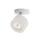 Plafoniere cu spoturi, Spoturi aplicate - Spot LED directionabil aplicat tavan SPECTER alb