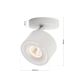 Plafoniere cu spoturi, Spoturi aplicate - Spot LED directionabil aplicat tavan SPECTER alb