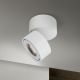 Spoturi - Spot LED aplicat reglabil iluminat exterior IP65 HARVEY alb