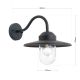 Aplice - Aplica de exterior stil vintage IP44 EDWARD antracit