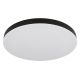 Plafoniere - Plafoniera LED design modern simplu MATTHEW D-50cm negru/opal
