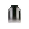 Plafoniera moderna Sweden 1L negru, fumuriu