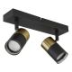 Plafoniere cu spoturi, Spoturi aplicate - Plafoniera cu 2 Spoturi directionabile BRISBON negru/cupru