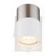 Aplice cu Spot - Aplica cu Spot directionabil BRISBON nickel/alb