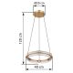 Pendule, Lustre suspendate - Lustra LED suspendata design circular cu telecomanda BLONDIE