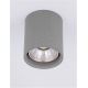 Spoturi - Spot LED aplicat iluminat exterior din beton IP65 RITZ R