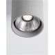 Spoturi - Spot LED aplicat iluminat exterior din beton IP65 RITZ R