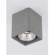 Spoturi - Spot LED aplicat iluminat exterior din beton IP65 RITZ SQ