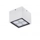 Plafoniere - Plafoniera/Spot LED iluminat exterior IP54 SIMPLY alb