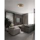 Plafoniere - Plafoniera LED design modern EPOSI negru/auriu D-60cm