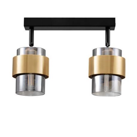 Plafoniere cu spoturi, Spoturi aplicate - Plafoniera moderna stil minimalist SIANNA 2L
