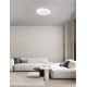 Plafoniere - Plafoniera LED design slim PADA alb D-60cm