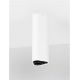Plafoniere cu spoturi, Spoturi aplicate - Plafoniera LED tip spot ETHO alb/negru/15cm