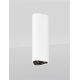 Plafoniere cu spoturi, Spoturi aplicate - Plafoniera LED tip spot ETHO alb/negru/15cm