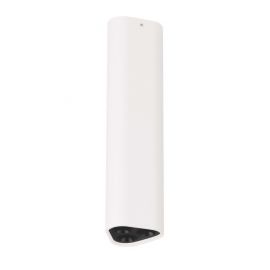 Plafoniere cu spoturi, Spoturi aplicate - Plafoniera LED tip spot ETHO alb/negru/20cm