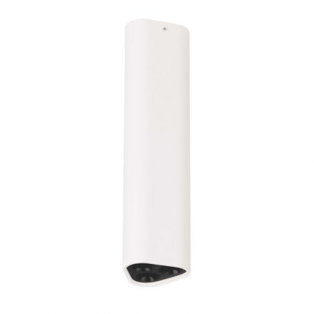 Plafoniere cu spoturi, Spoturi aplicate - Plafoniera LED tip spot ETHO alb/negru/20cm