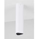 Plafoniere cu spoturi, Spoturi aplicate - Plafoniera LED tip spot ETHO alb/negru/20cm