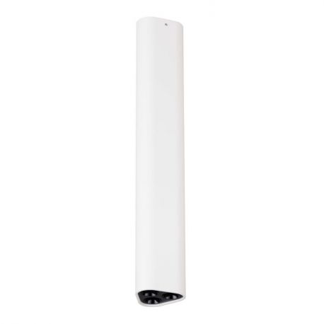 Plafoniere cu spoturi, Spoturi aplicate - Plafoniera LED tip spot ETHO alb/negru/30,5cm