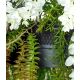 Candelabre, Lustre - Lustra LED cu telecomanda Garden Wisteria 120