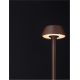 Stalpi - Lampadar/Lampa de podea LED de exterior IP65 ARION maro rustic