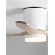 Lustre cu ventilator - Lustra LED cu Ventilator si telecomanda ALOA alb/natural wood