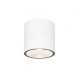 Spoturi - Spot LED rotativ pentru exterior IP54 Spin alb