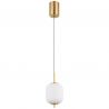 Pendul LED design modern EWALD 