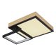 Plafoniere - Plafoniera LED RGB cu telecomanda JACKY