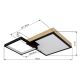 Plafoniere - Plafoniera LED RGB cu telecomanda JACKY
