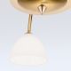 Lustre aplicate - Lustra aplicata 5 brate elegant design modern OPALDESIGN, auriu mat