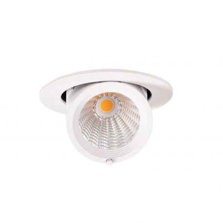 Spoturi tavan fals - Spot LED incastrabil directionabil Rubio alb