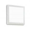 Plafoniera LED perete/tavan Universal pl d30 square 2700k