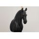 Veioze - Lampa decorativa, Cal, Negru, BLACK BEAUTY 75cm