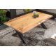 Masute Living - Masuta Design Industrial, Lemn, Metal, Mammut X 110cm