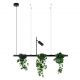 Pendule, Lustre suspendate - Lustra suspendata cu suport pentru plante PLANT 3L