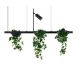 Pendule, Lustre suspendate - Lustra suspendata cu suport pentru plante PLANT 3L