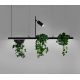 Pendule, Lustre suspendate - Lustra suspendata cu suport pentru plante PLANT 3L