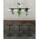 Pendule, Lustre suspendate - Lustra suspendata cu suport pentru plante PLANT 3L