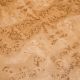 Masute Living - Masuta design LUX, Furnir Burl Mappa, Maro, Quinton
