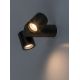 Aplice - Aplica exterior cu Spoturi directionabile, Protectie IP44, Enol II GU10