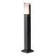 Stalpi - Stalp exterior LED, Protectie IP54, Darvas