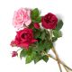 Aranjamente florale LUX - Buchet artificial LUX din 72 de trandafiri roz si rosii, Roses