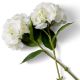 Aranjamente florale LUX - Buchet artificial LUX din 48 de hortensii albe, Hydrangeas