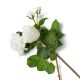 Aranjamente florale LUX - Buchet artificial LUX din 72 de trandafiri albi, Roses