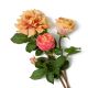Aranjamente florale LUX - Buchet artificial LUX din 72 de trandafiri Peach, Roses