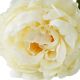Aranjamente florale LUX - Buchet artificial LUX din 48 de bujori albi, Peonies