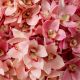 Aranjamente florale LUX - Buchet artificial LUX din 36 fire orhidee cymbidium, Orchids