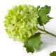 Aranjamente florale LUX - Buchet artificial LUX din 36 fire Hortensii verzi, Hydrangeas snowball