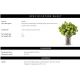 Aranjamente florale LUX - Buchet artificial LUX din 36 fire Hortensii verzi, Hydrangeas snowball